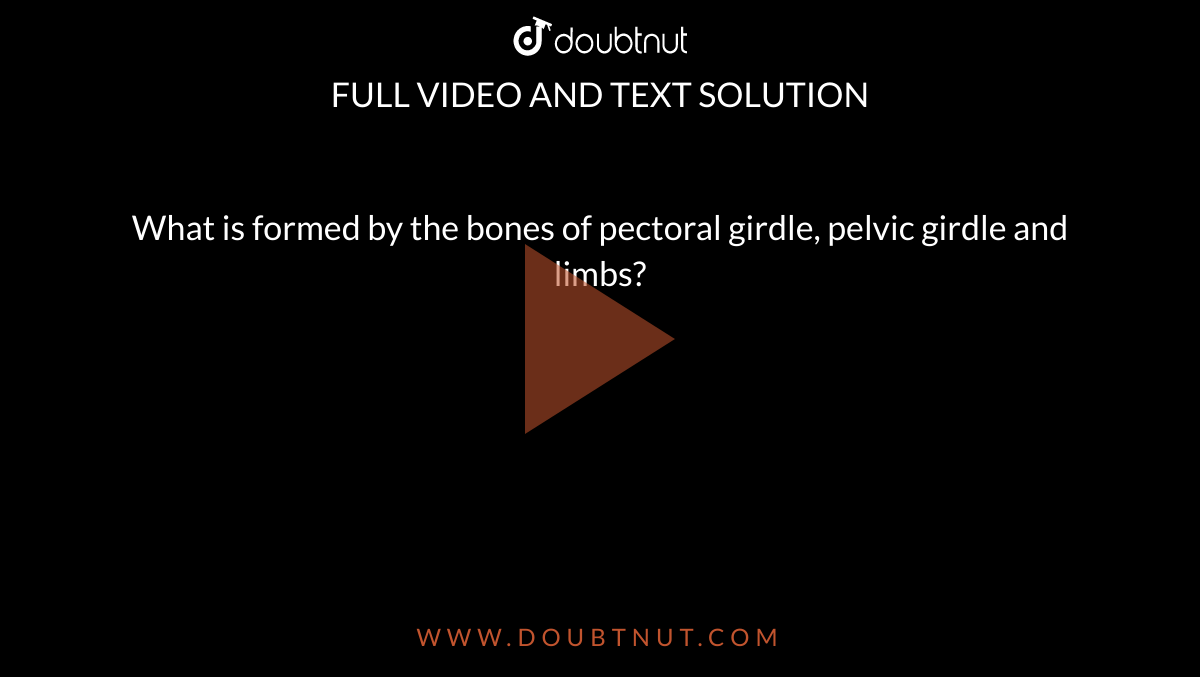 What is formed by the bones of pectoral girdle, pelvic girdle and limbs? 