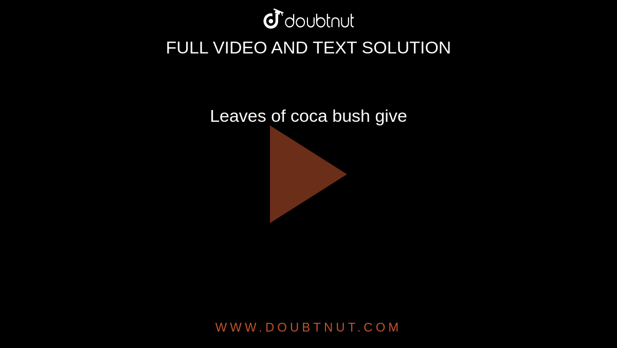 Leaves of coca bush give 