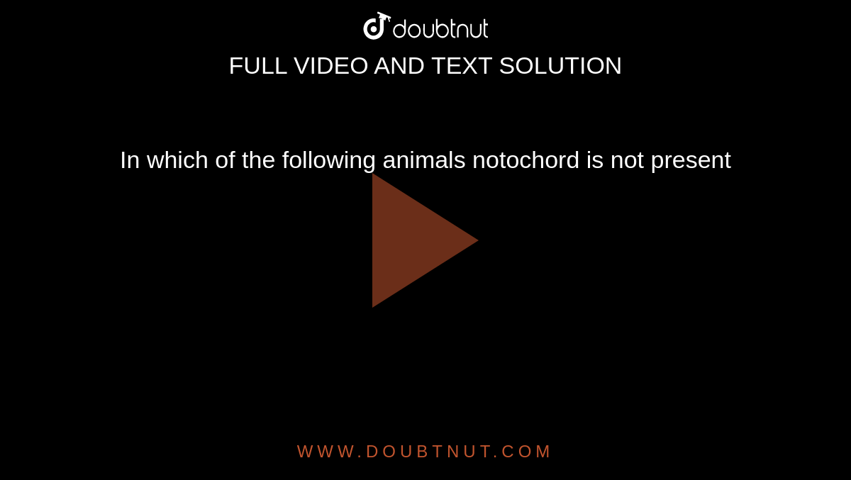 In which of the following animals notochord is not present In which of the following animals notochord is not present